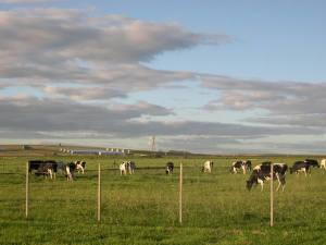 impuesto inmobiliario